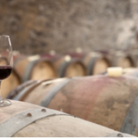 Borral vígad a magyar