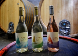 L. Simon Borászat - 8