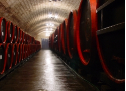 L. Simon Borászat - 5