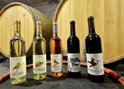 L. Simon Borászat - 6